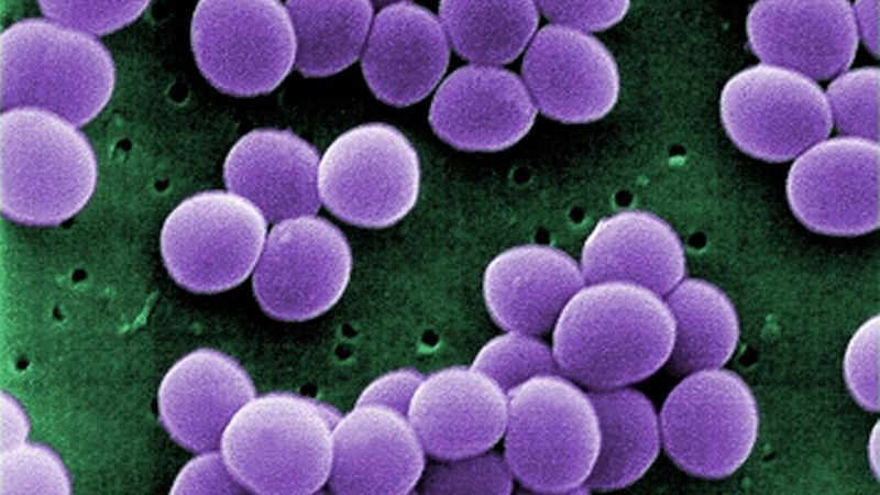 antimicrobial resistance